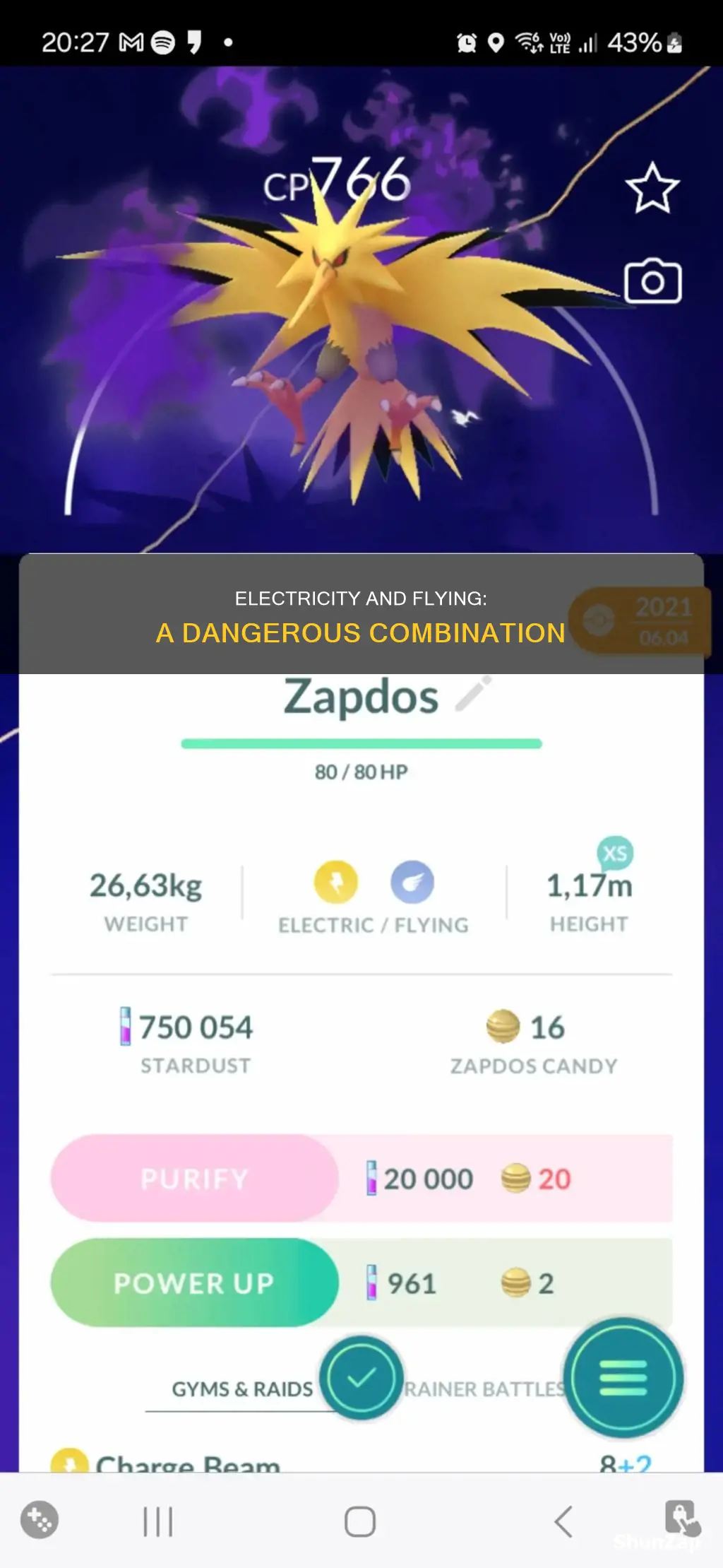 why is electric super effective against flying