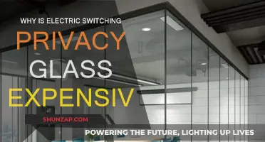 Electric Switching Privacy Glass: Why the High Cost?