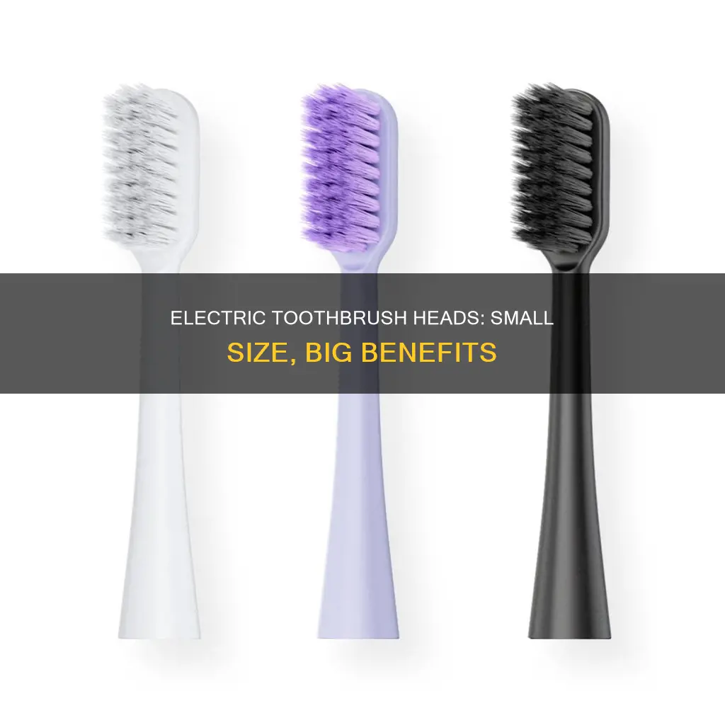 why is electric toothbrush head so small