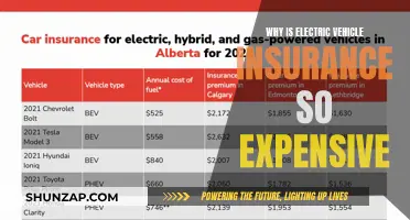 EVs: Why Your Green Car Costs More to Insure