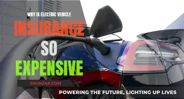 Electric Vehicle Insurance: Why the High Cost?