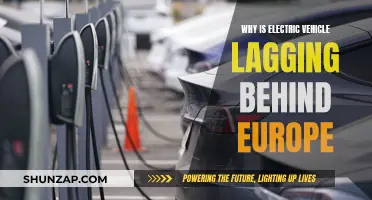 Electric Vehicle Slowdown: Europe's Lead Over the US Explained