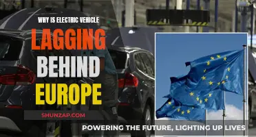 Europe's Electric Vehicle Revolution: What's Holding Us Back?