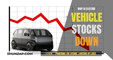 Electric Vehicle Stocks Plunge: What's Behind the Sudden Decline