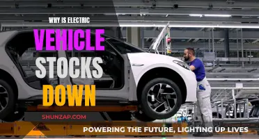 Electric Vehicle Stocks: A Downward Trend Explained
