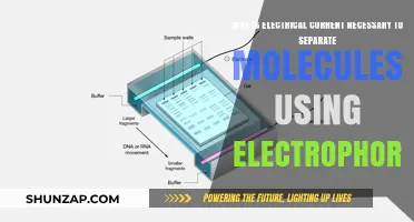 Electrical Current's Role in Molecular Separation via Electrophoresis