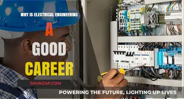Electrical Engineering: A Rewarding Career with Endless Opportunities