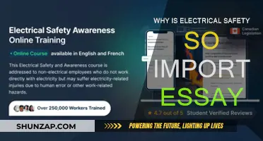 Electrical Safety: A Matter of Life and Death