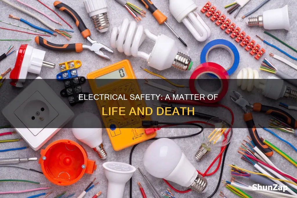 why is electrical safety so important essay