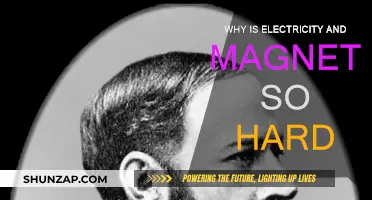 Understanding the Complexity of Electromagnetism