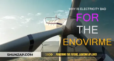 Electricity's Environmental Impact: A Harmful Necessity?
