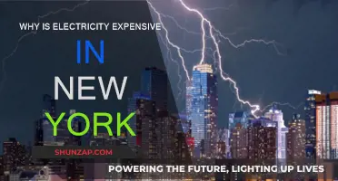 Electricity in New York: Why the High Cost?