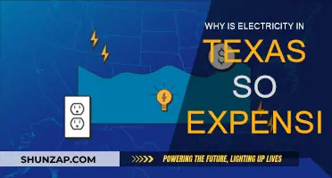 Texas Electricity: Why the High Costs?