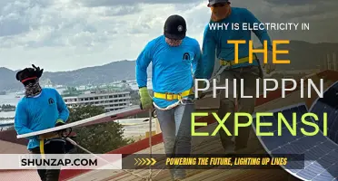Philippine Power Prices: Why So High?