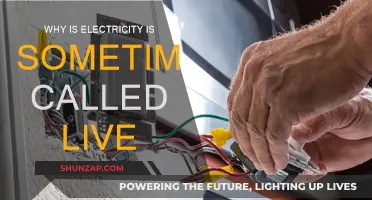 Electricity: A Live Wire, a Powerful Force