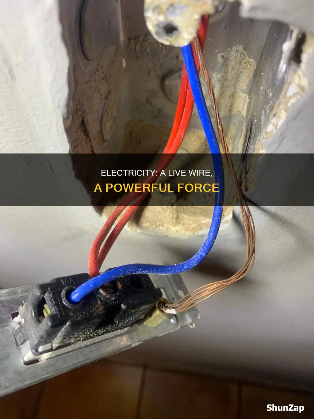 why is electricity is sometimes called live