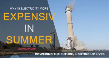 Summer Power Prices: Why the Spike?