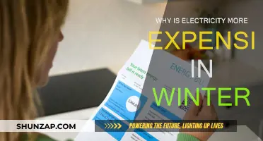 Winter Energy Crisis: Why Higher Prices?
