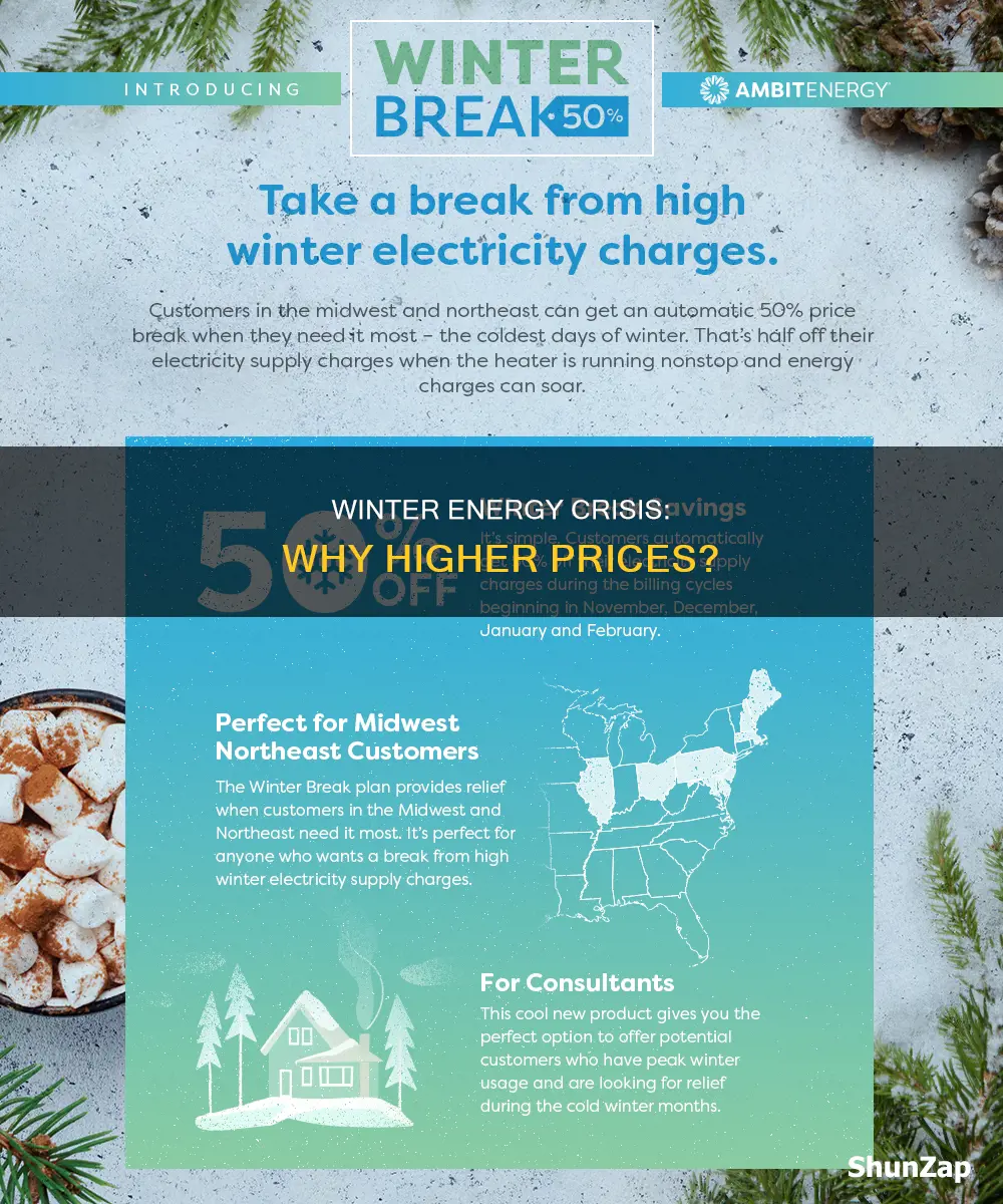 why is electricity more expensive in winter