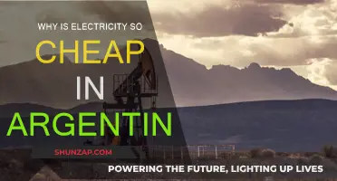 Argentina's Electricity: Cheap and Cheerful