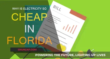 Electricity in Florida: Why the Sunshine State Pays Less
