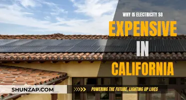 California's Electricity Crisis: Why So Expensive?
