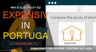 Portugal's Power Problem: Why the High Cost?