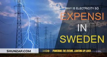 Sweden's Electricity Crisis: Why the High Cost?
