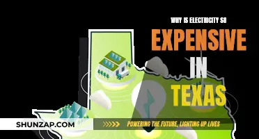 Texas Electricity Crisis: Why So Expensive?
