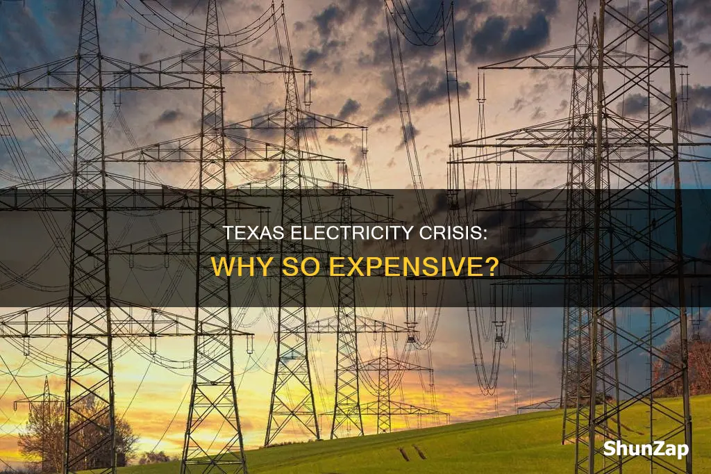 why is electricity so expensive in texas