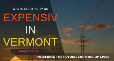 Vermont's Electricity Crisis: Why So Expensive?