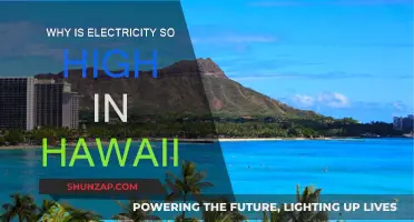 Hawaii's Electricity: High Costs, Unique Challenges