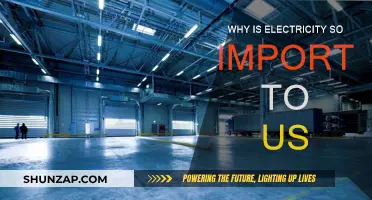 Electricity: Powering Our World, Shaping Our Future