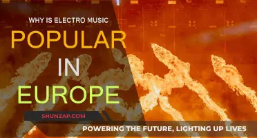 The Evolution of Europe's Love for Electronic Music