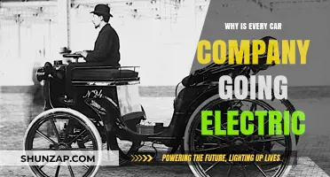 Why Automakers Are Racing to Electrify the Future of Driving
