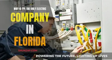 Florida's Electric Company: FPL's Monopoly Explained