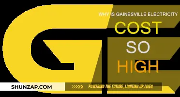 Gainesville's Electricity Crisis: Why So Expensive?