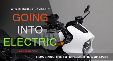 Harley-Davidson's Electric Evolution: Why and What's Next