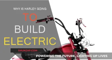 Harley-Davidson's Electric Future: Why the Shift?