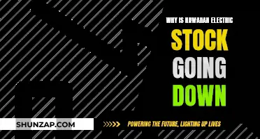 Hawaiian Electric Stock: What's Behind the Downward Trend?
