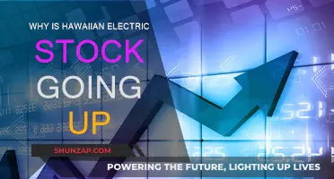 Hawaiian Electric Stock: Soaring High Due to Strategic Investments