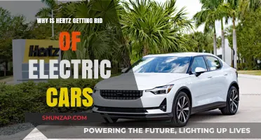 Hertz's Electric Car Exit: Reasons Behind the Sudden Shift