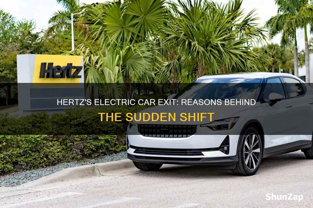 why is hertz getting rid of electric cars