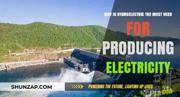 Hydroelectric Power Dominates: Uncovering Its Top Role in Electricity Generation