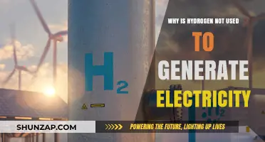 Hydrogen's Electricity Generation Challenges: Storage, Cost, and Infrastructure Barriers