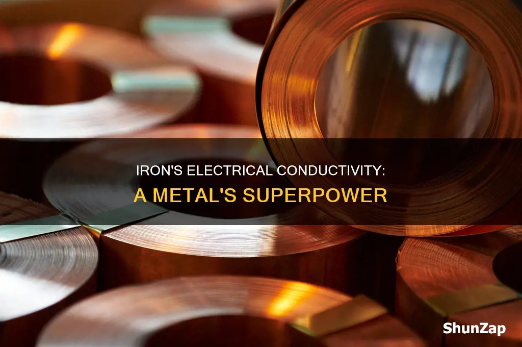 why is iron a conductor of electricity