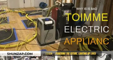 Electrical Hazards: Dangers of Immersing Appliances