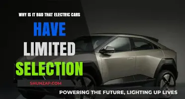 Limited Electric Car Options: Hindering Adoption and Sustainability Goals
