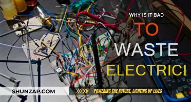 Electricity Waste: Harming Your Wallet and the Planet