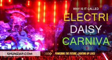 Electric Daisy Carnival: A Festival of Lights and Music